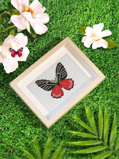 Butterfly Collection 2